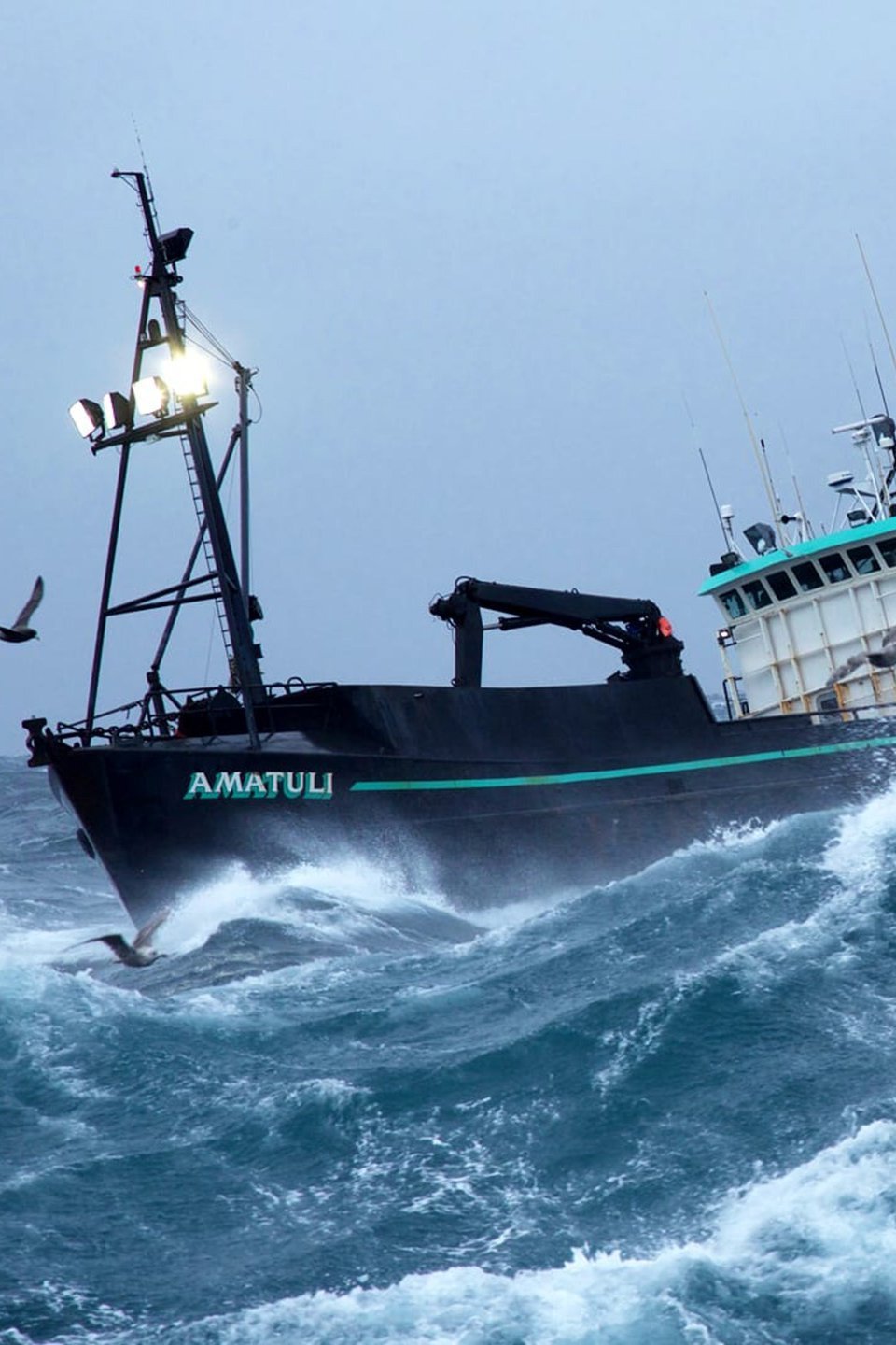 Crushing Blows Pictures Rotten Tomatoes