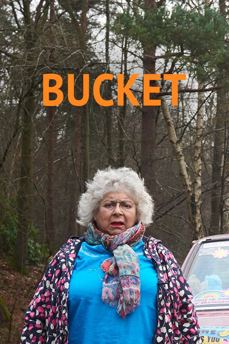 Bucket Rotten Tomatoes