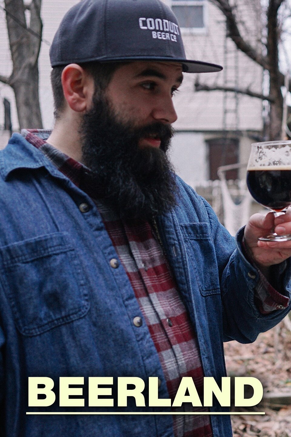Beerland Rotten Tomatoes