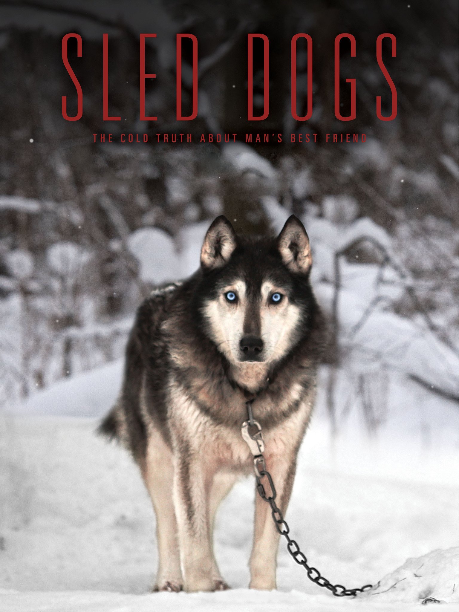 sled-dogs-2016-rotten-tomatoes