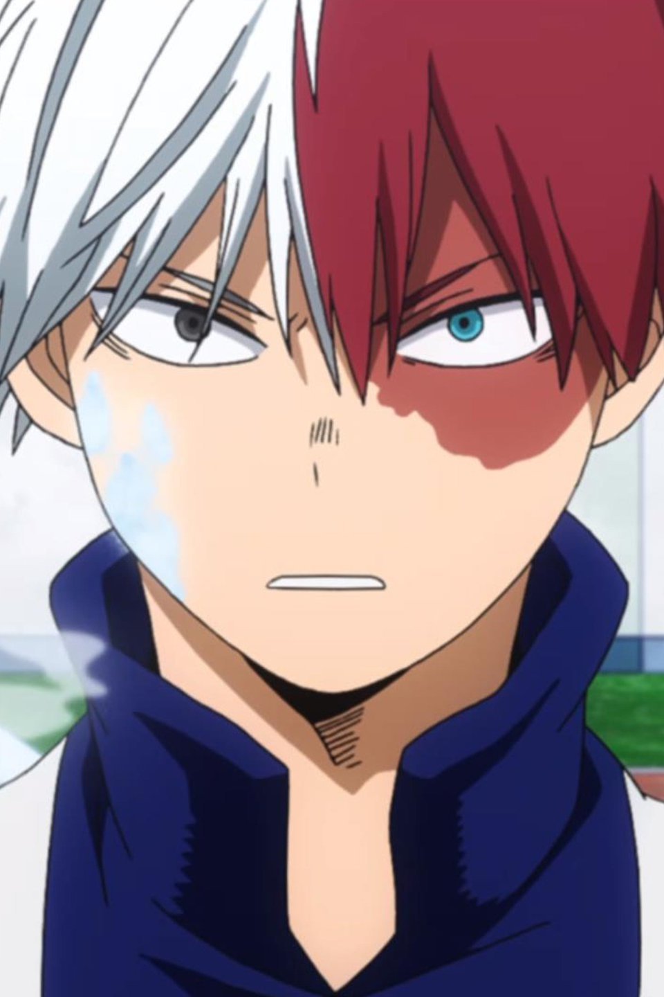 Shoto Todoroki: Origin Pictures - Rotten Tomatoes