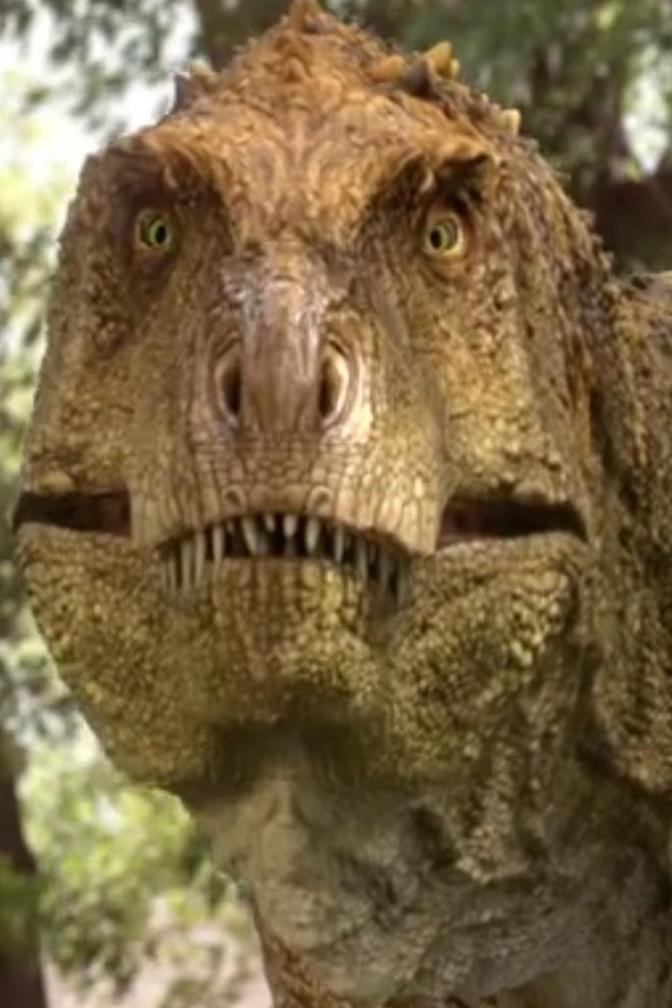 King of the Dance Floor Pictures Rotten Tomatoes