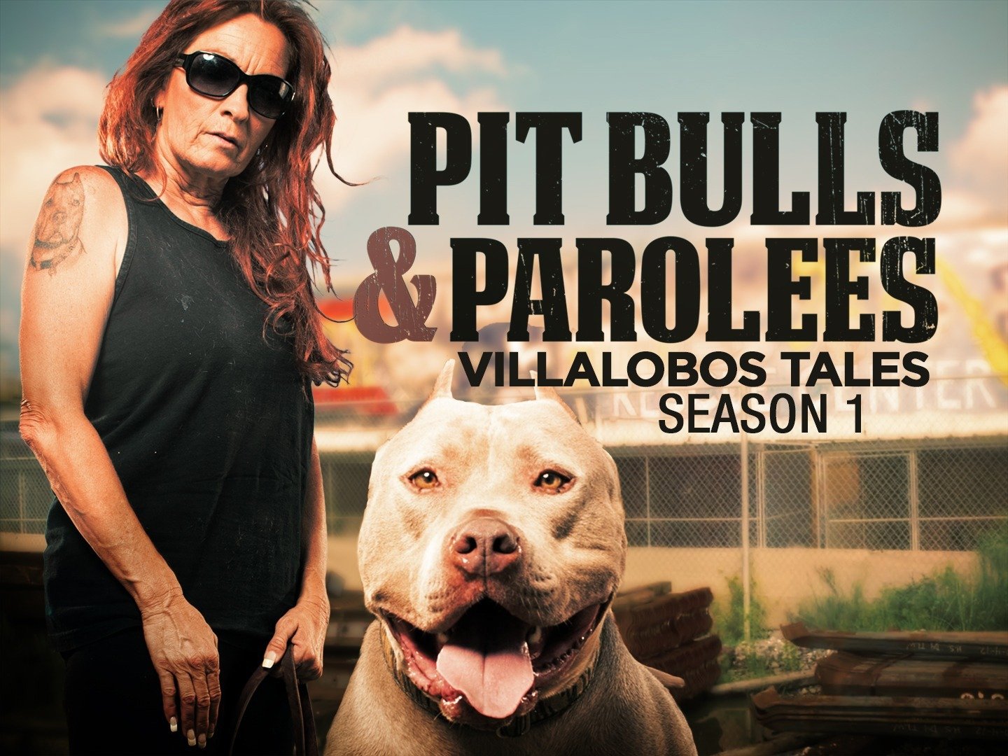 Pit Bulls & Parolees: Villalobos Tales - Rotten Tomatoes