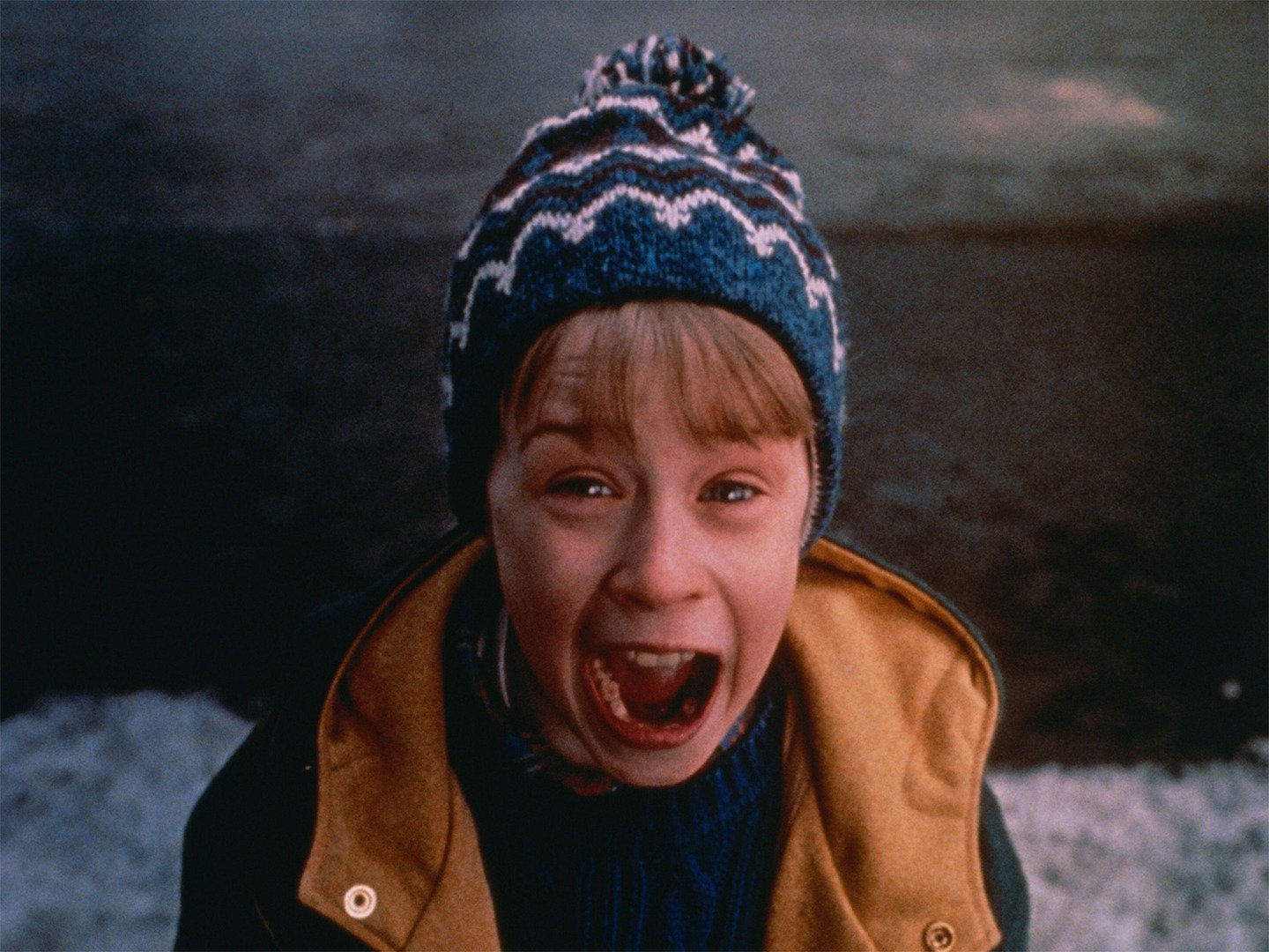 Home Alone 2 Lost in New York Trailer 1 Trailers & Videos Rotten