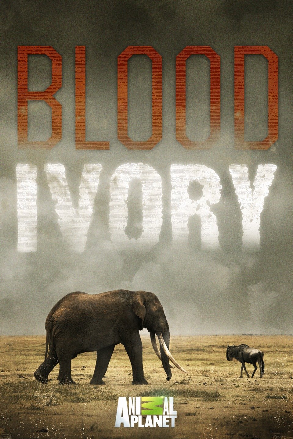 Blood Ivory Pictures Rotten Tomatoes