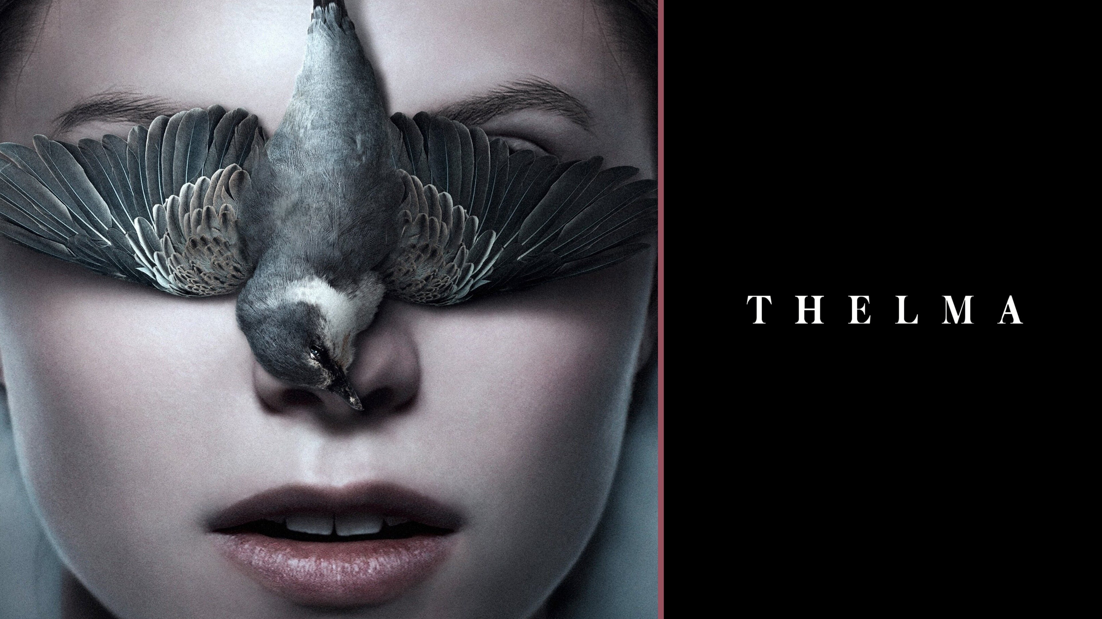 Thelma Trailer 1 Trailers & Videos Rotten Tomatoes