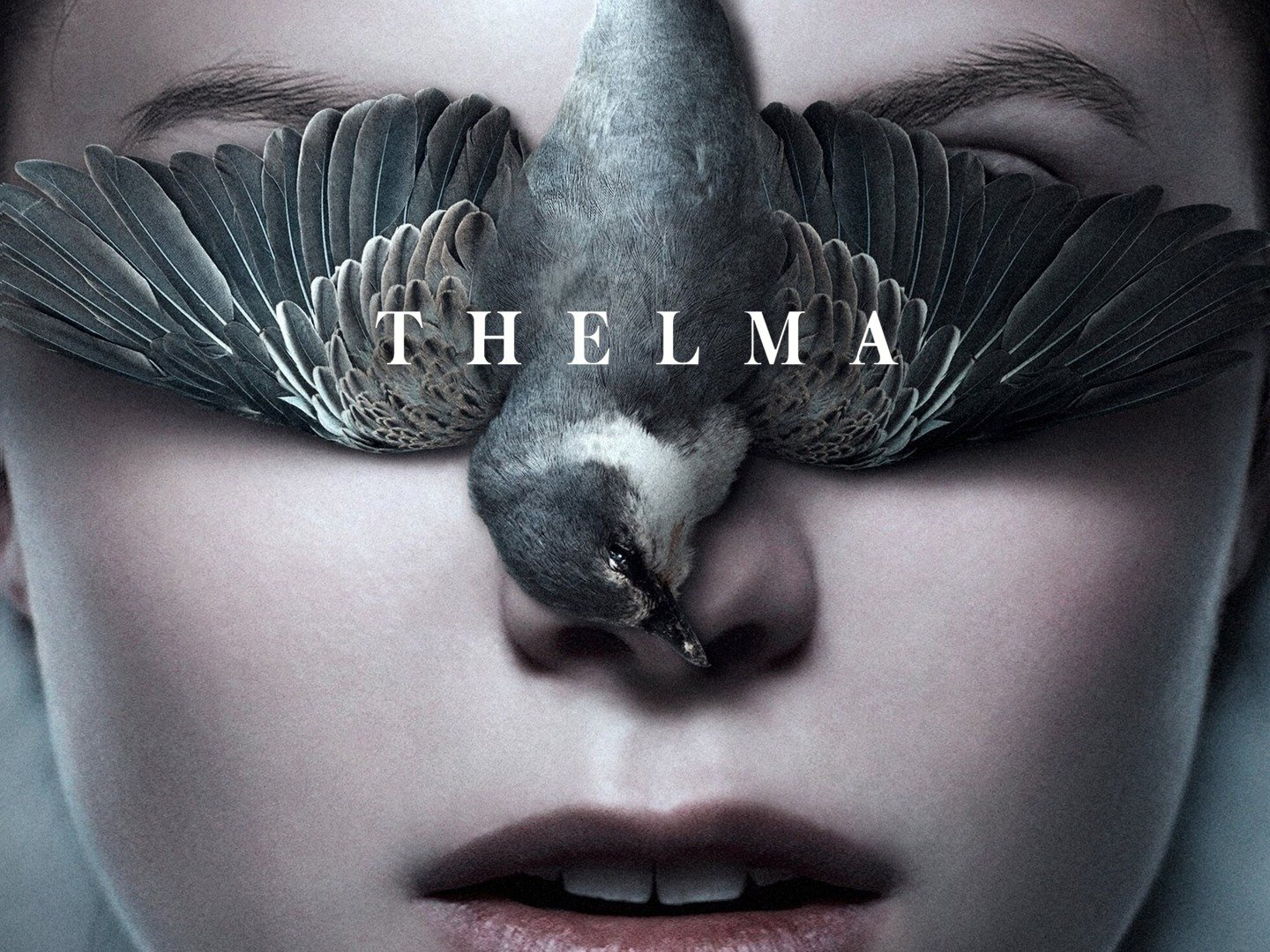 Thelma Trailer 1 Trailers & Videos Rotten Tomatoes