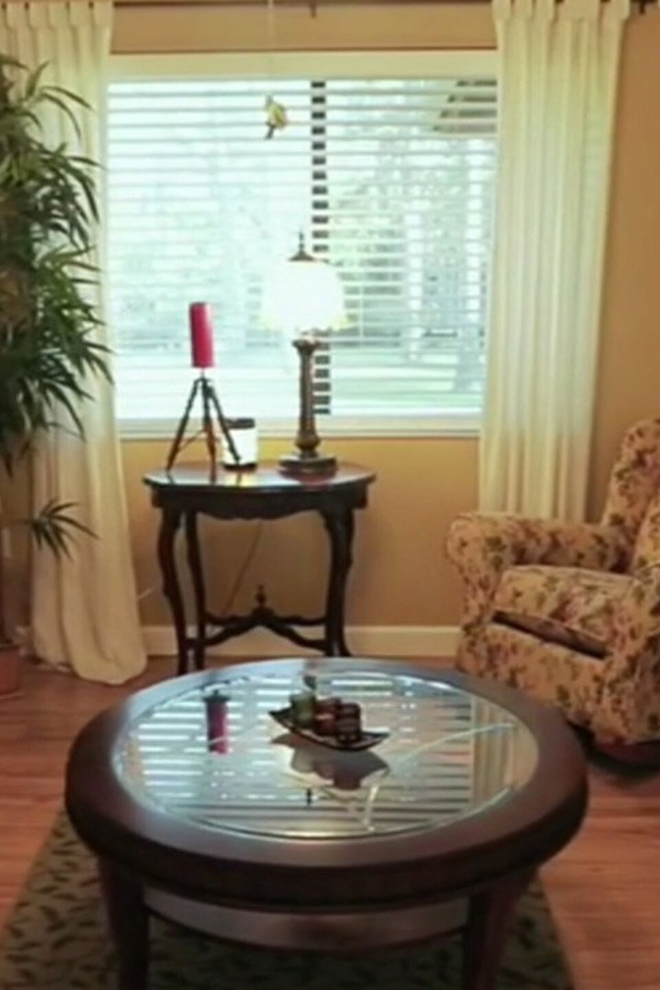 Moving Back to Merritt Island Pictures Rotten Tomatoes