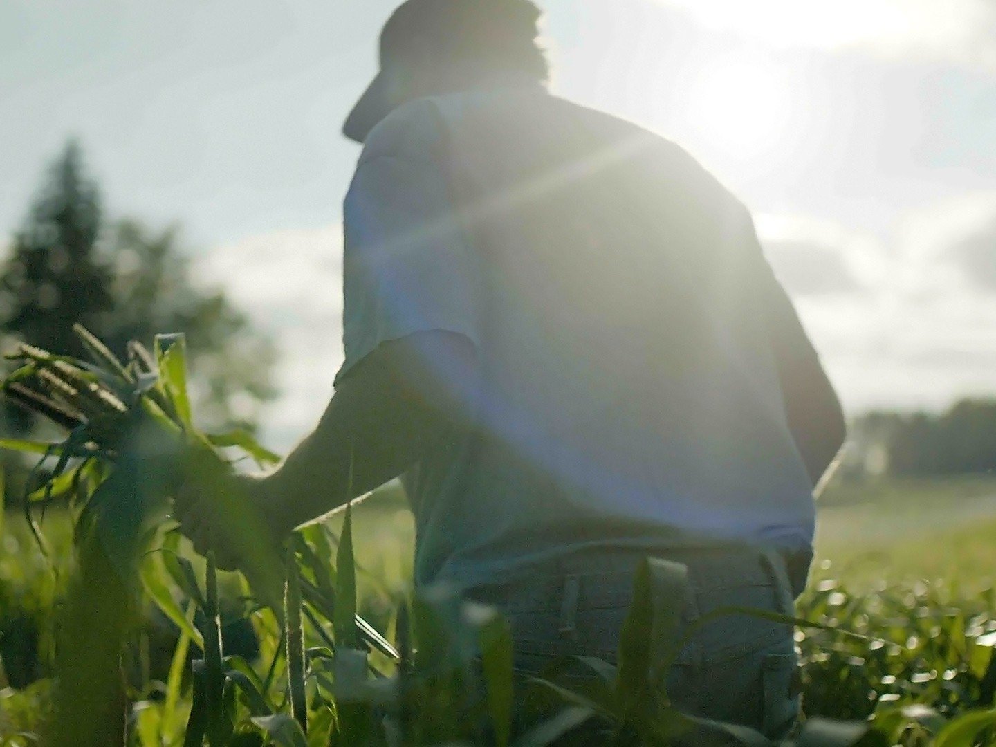 Wasted! The Story of Food Waste Trailer 1 Trailers & Videos Rotten