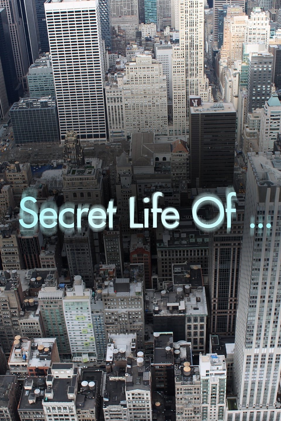 the secret life book review