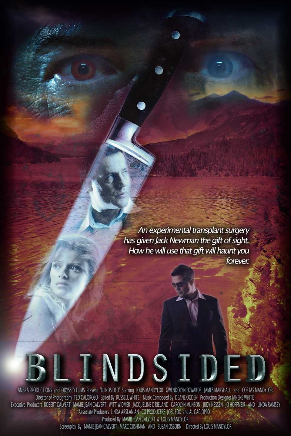 Blindsided Pictures - Rotten Tomatoes
