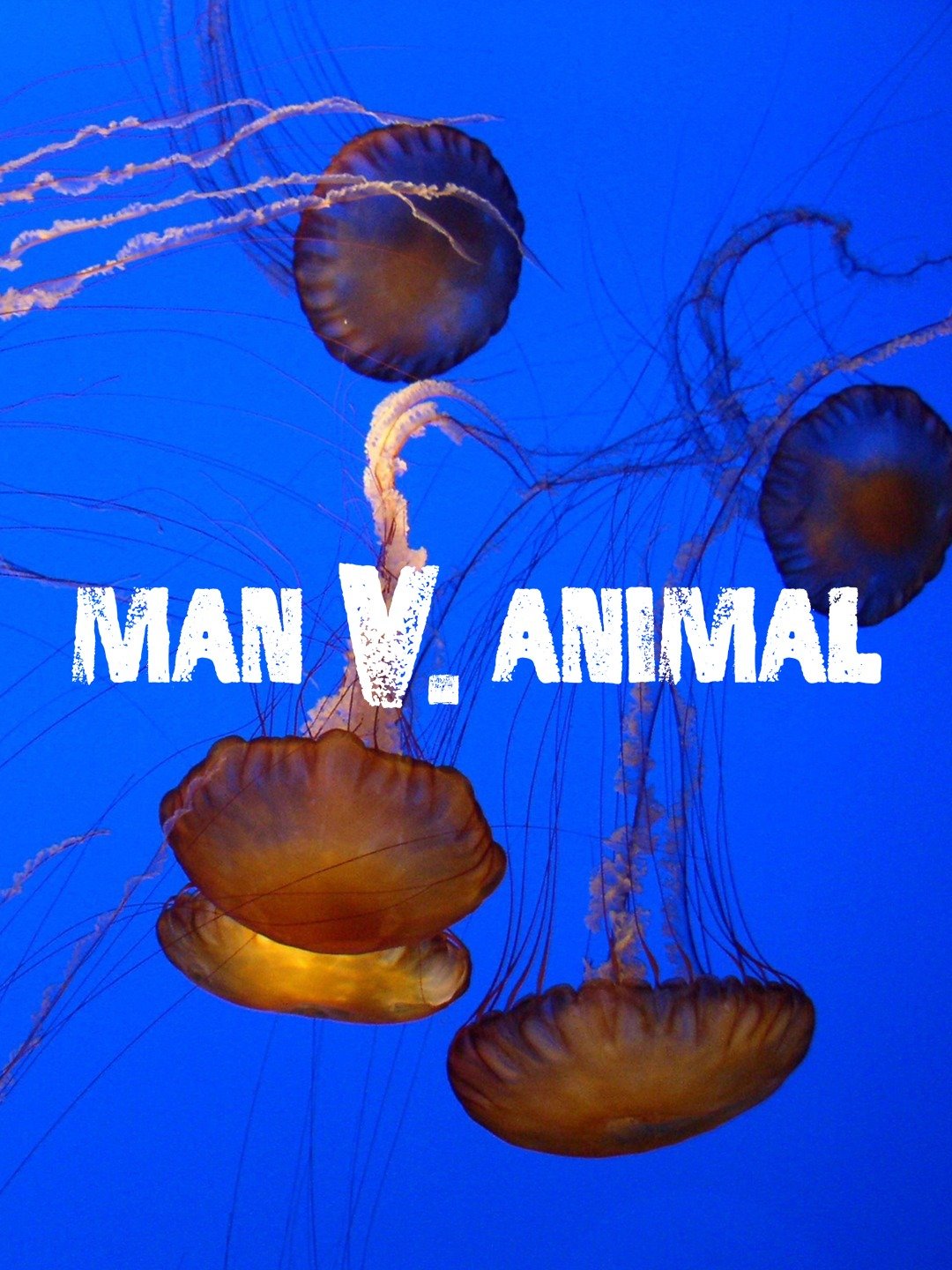 Man v. Animal - Rotten Tomatoes Man v. Animal - Rotten Tomatoes