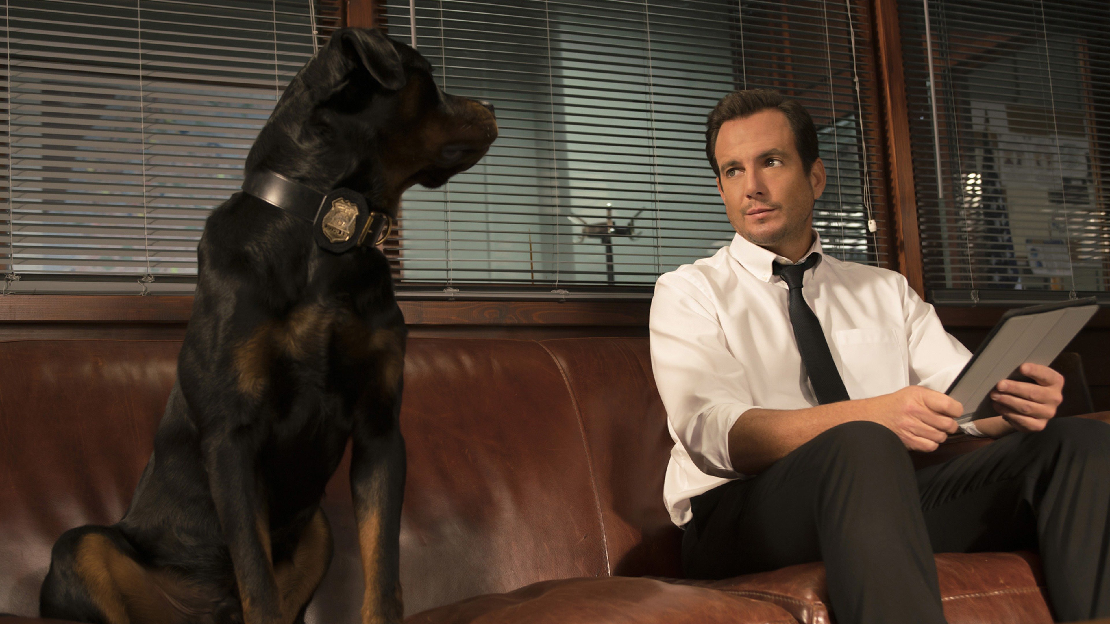 Show Dogs Trailer 2 Trailers & Videos Rotten Tomatoes