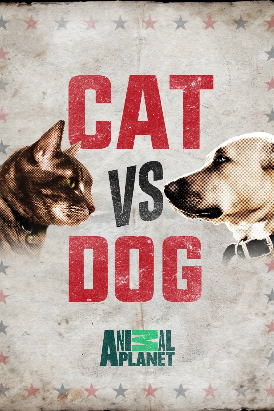 Cat vs. Dog Pictures Rotten Tomatoes