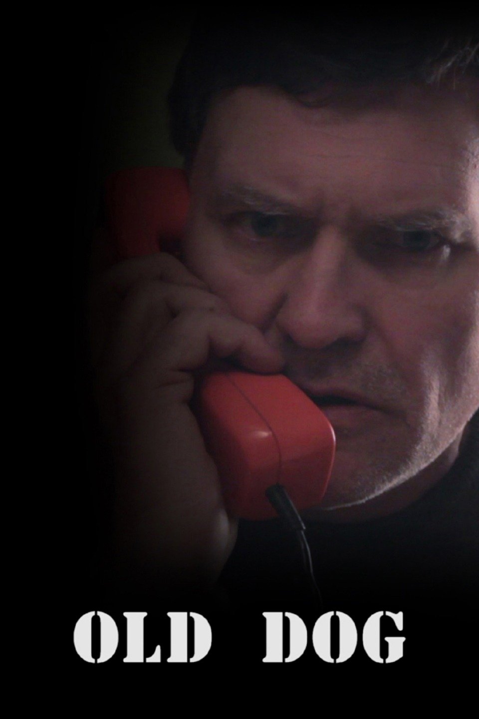 Old Dog Pictures Rotten Tomatoes