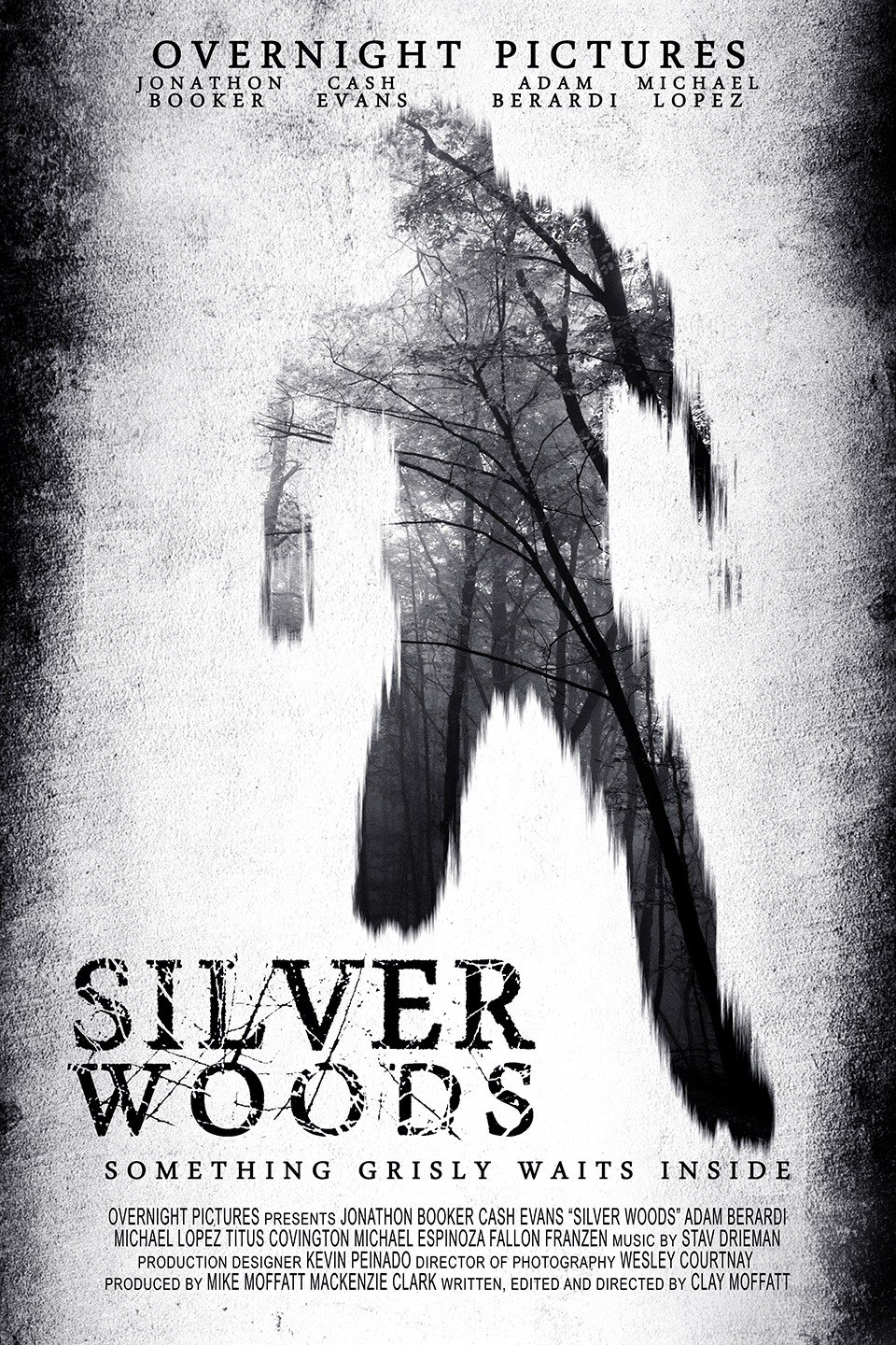 Silver Woods - Rotten Tomatoes