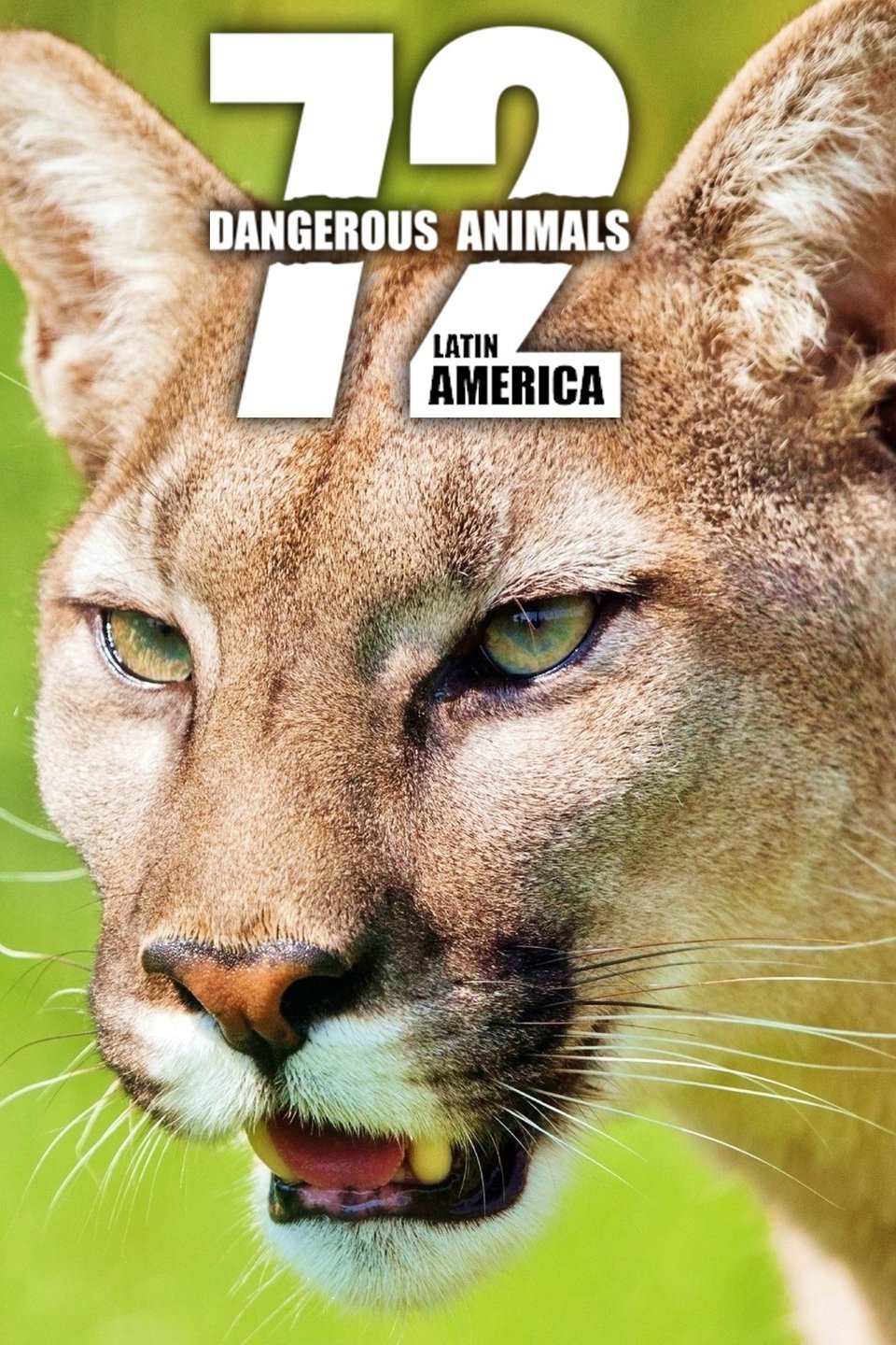 72 Dangerous Animals: Latin America - Rotten Tomatoes