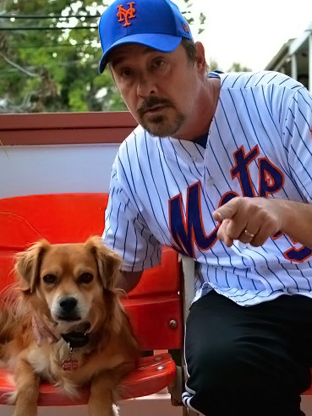 Where Have You Gone Lou DiMaggio Trailer Trailers & Videos Rotten