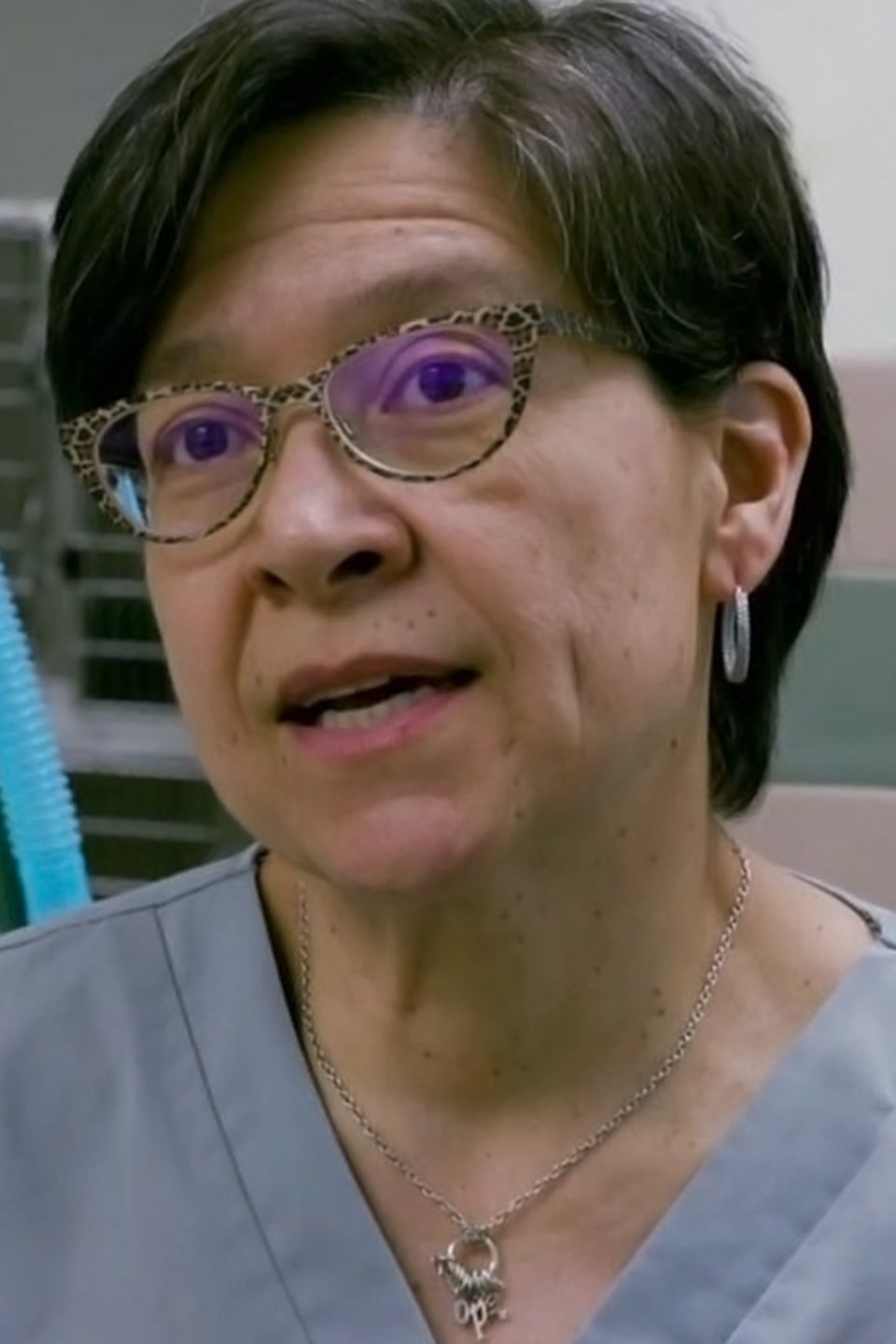 Duck and Cover Pictures Rotten Tomatoes