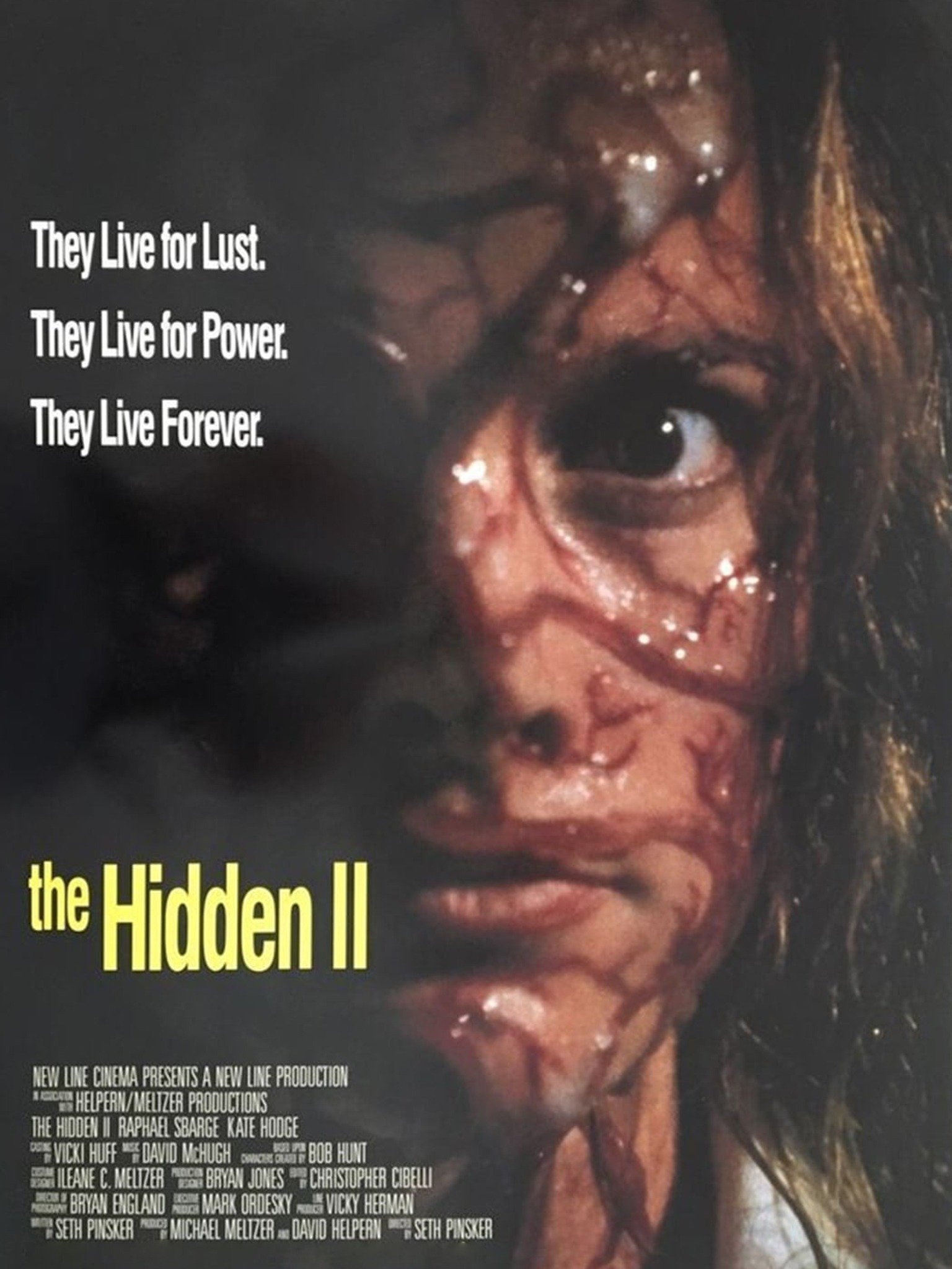 among the hidden movie poster