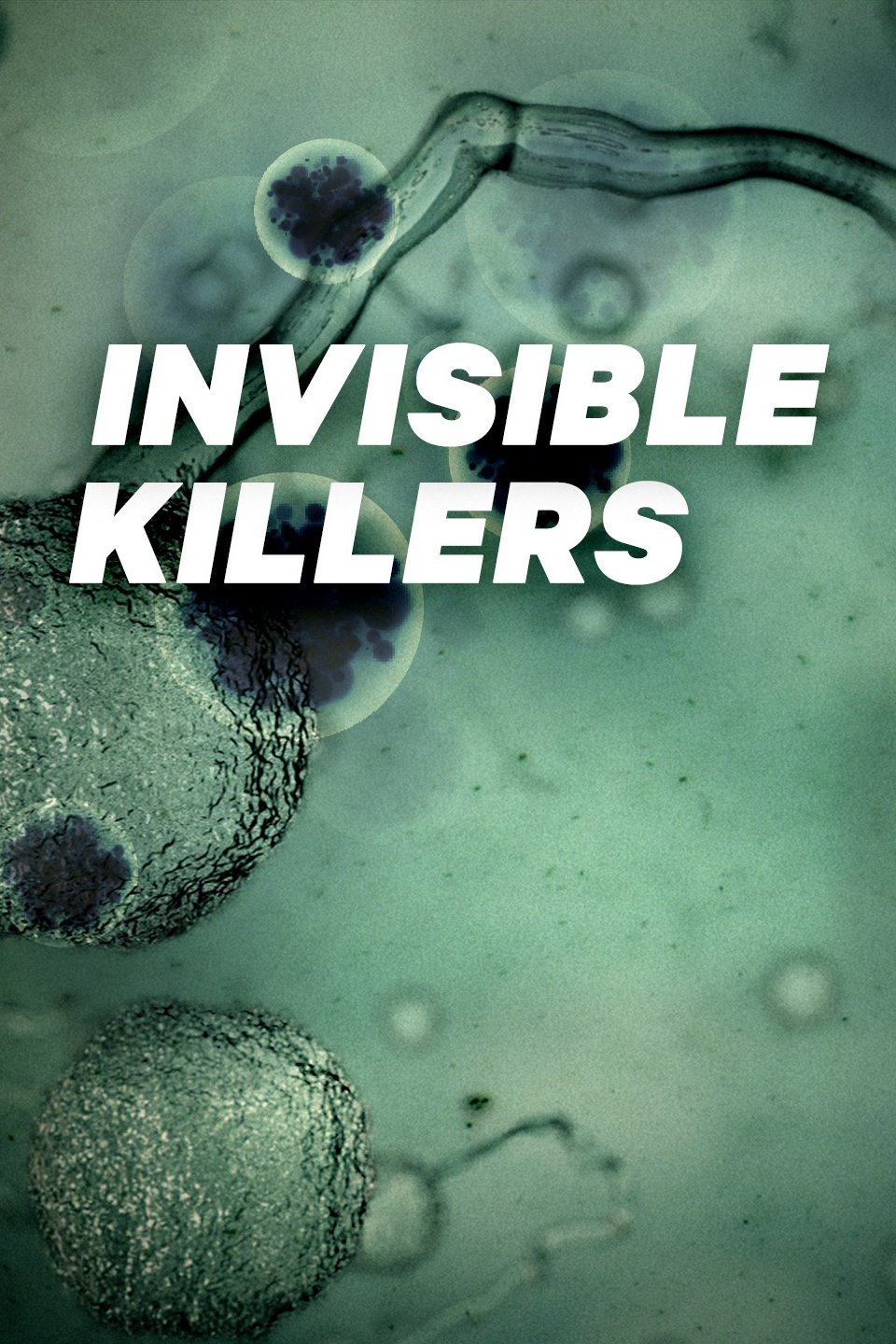 Invisible Killers Rotten Tomatoes