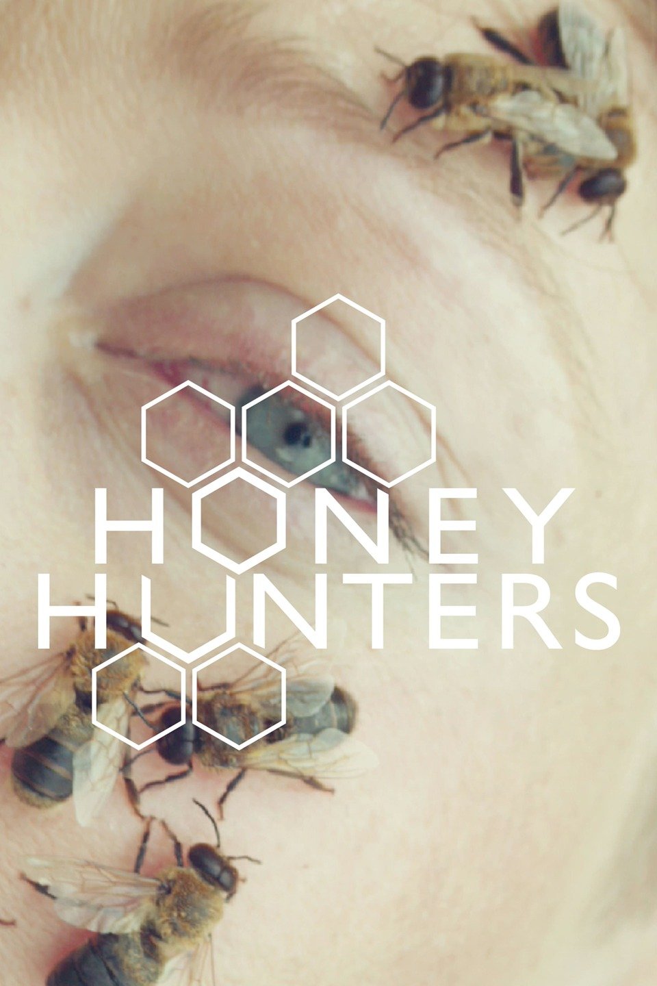 Honey Hunters Pictures Rotten Tomatoes