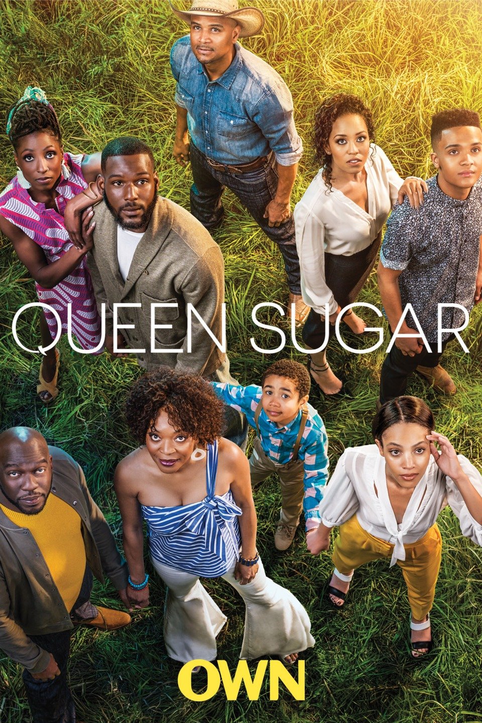 Queen Sugar Rotten Tomatoes