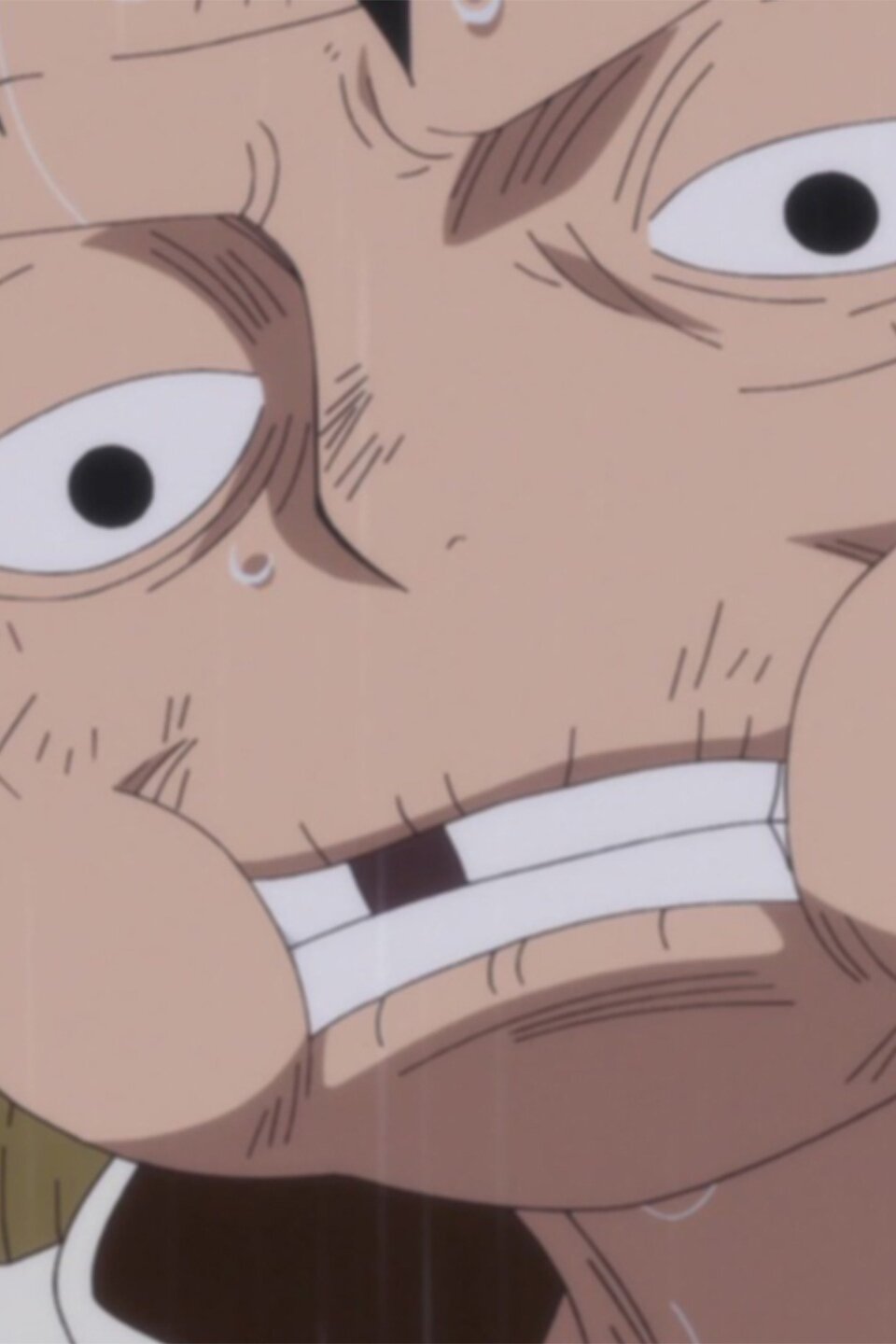 A Liar Luffy And Sanji Pictures Rotten Tomatoes