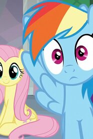Non Compete Clause Pictures Rotten Tomatoes