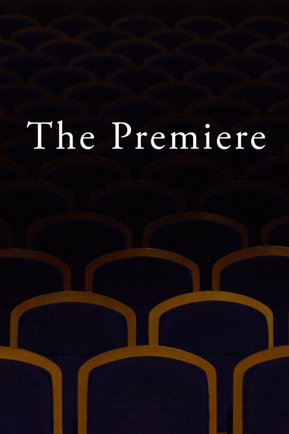 premiere movie theatre