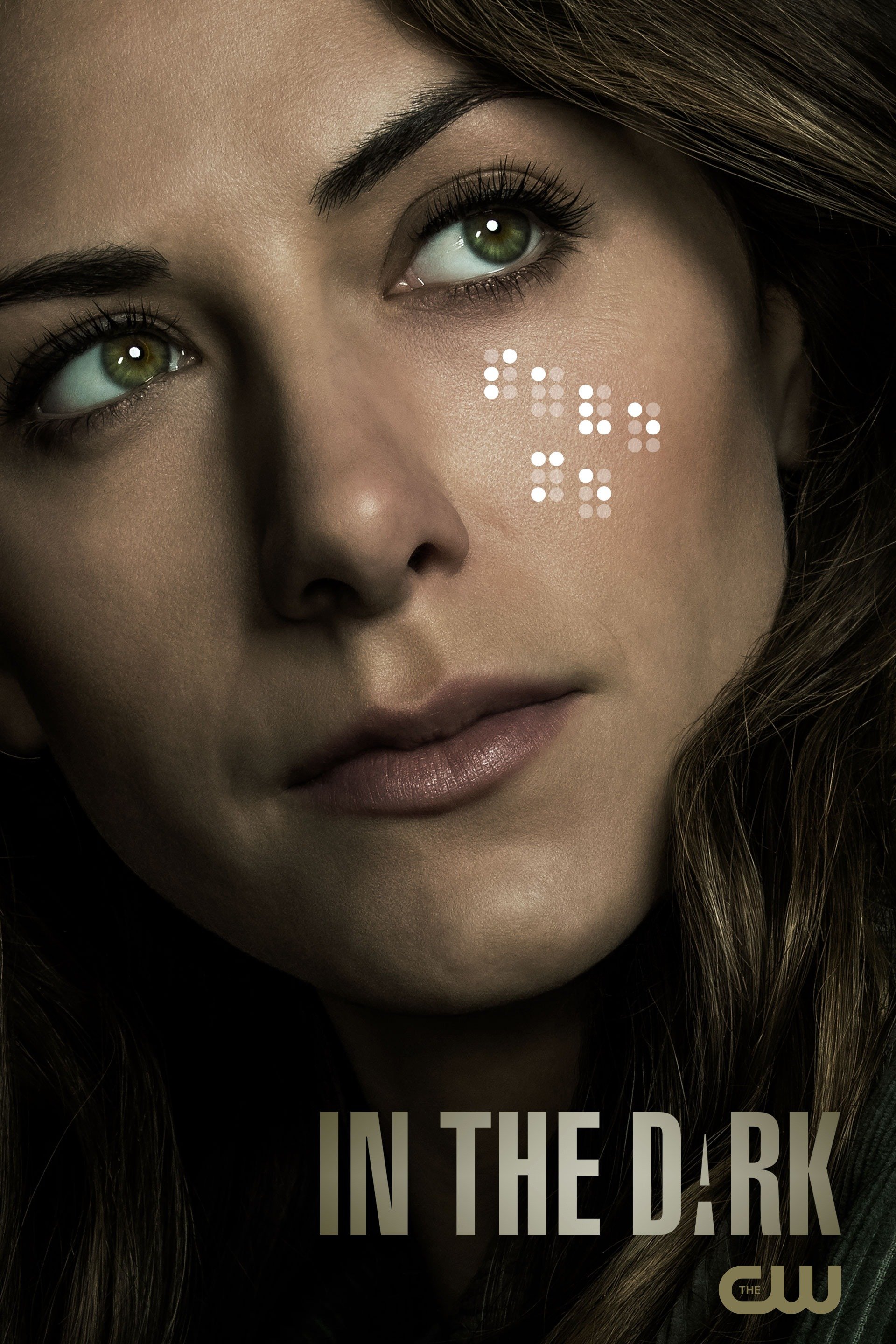 In the Dark - Rotten Tomatoes