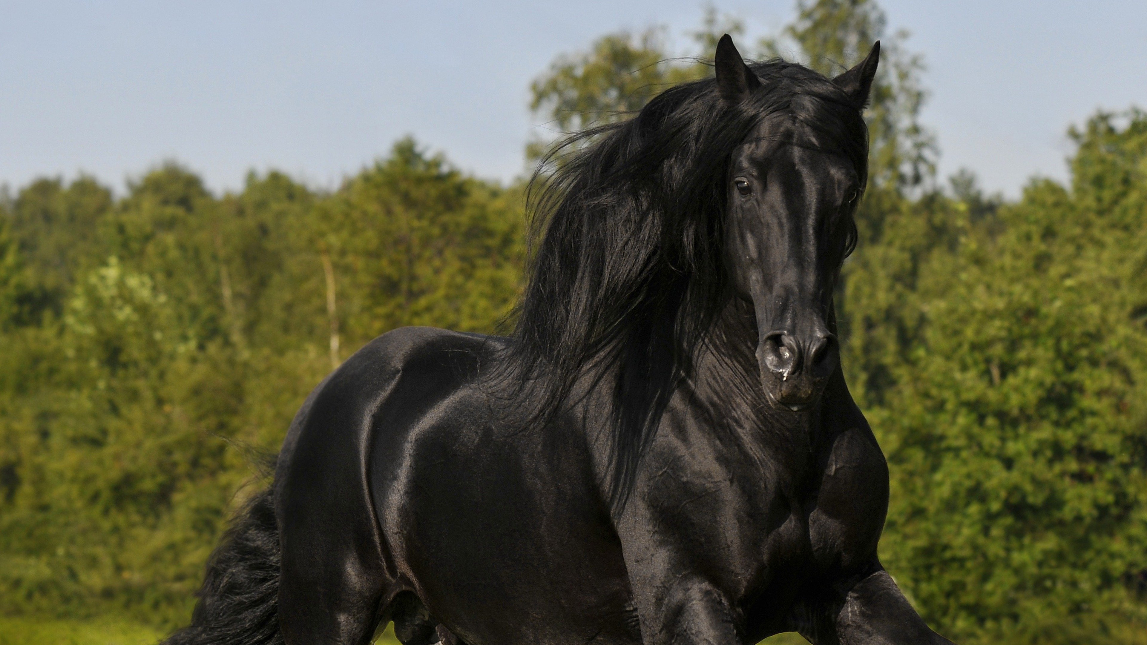 Can Low Testosterone Cause Anxiety? The Hidden Link to Your Mood