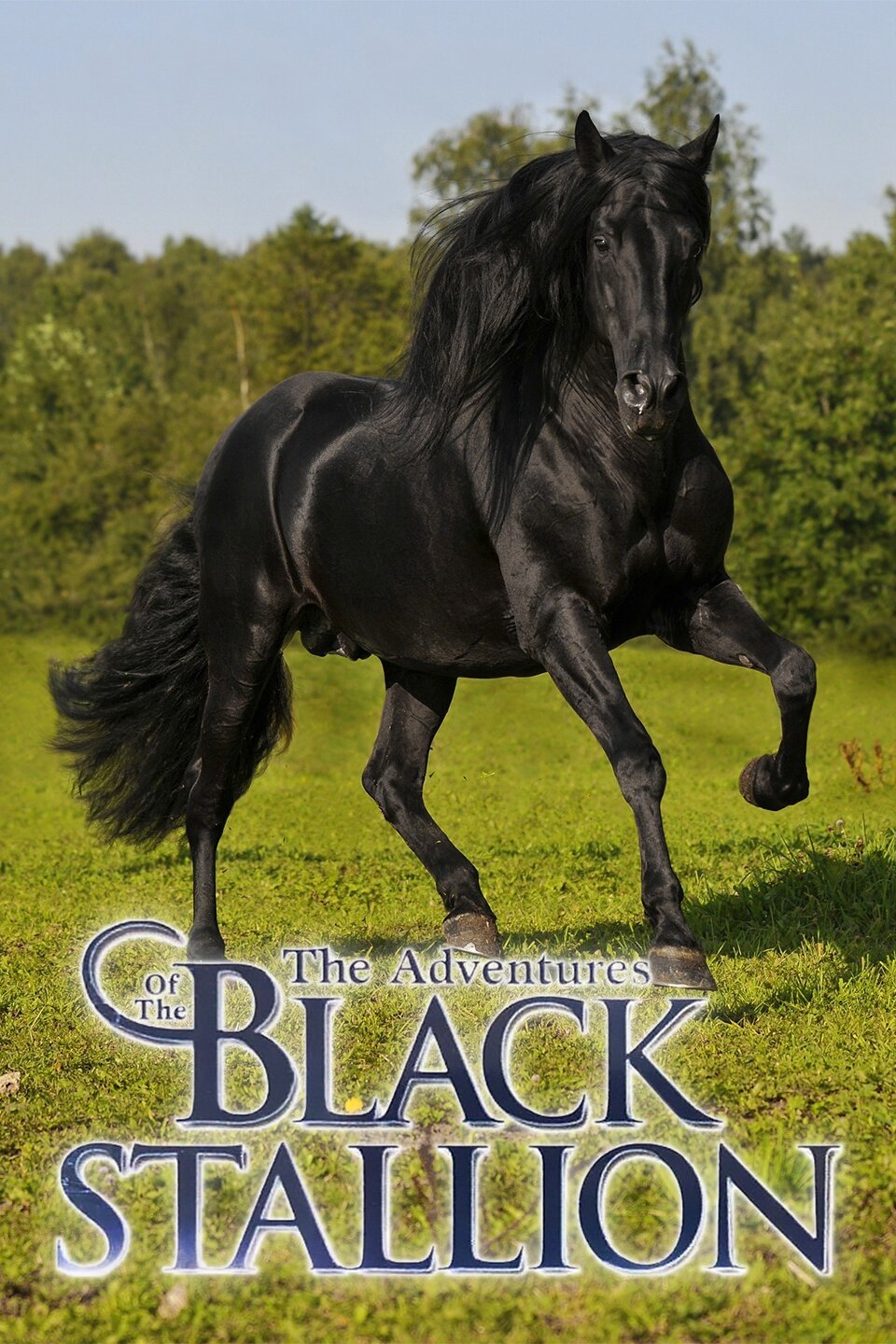 The Adventures of the Black Stallion Rotten Tomatoes