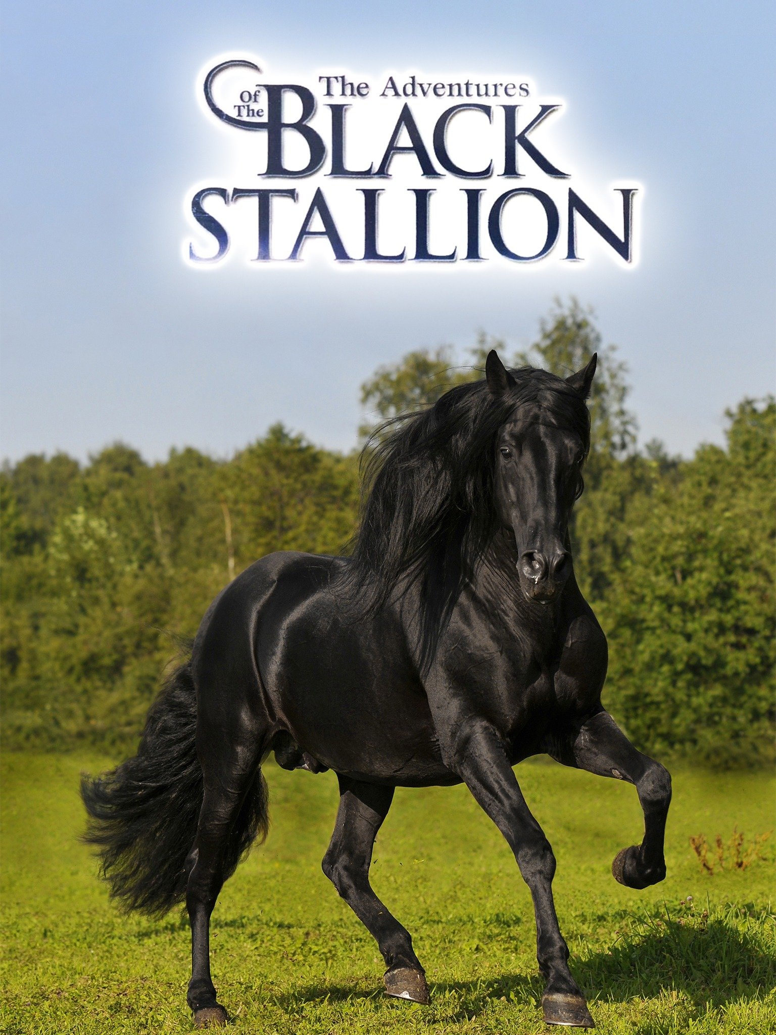 the-adventures-of-the-black-stallion-rotten-tomatoes