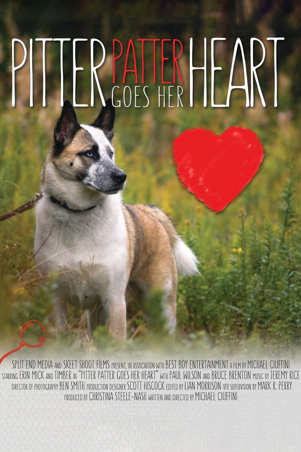 Pitter Patter Goes Her Heart Pictures Rotten Tomatoes