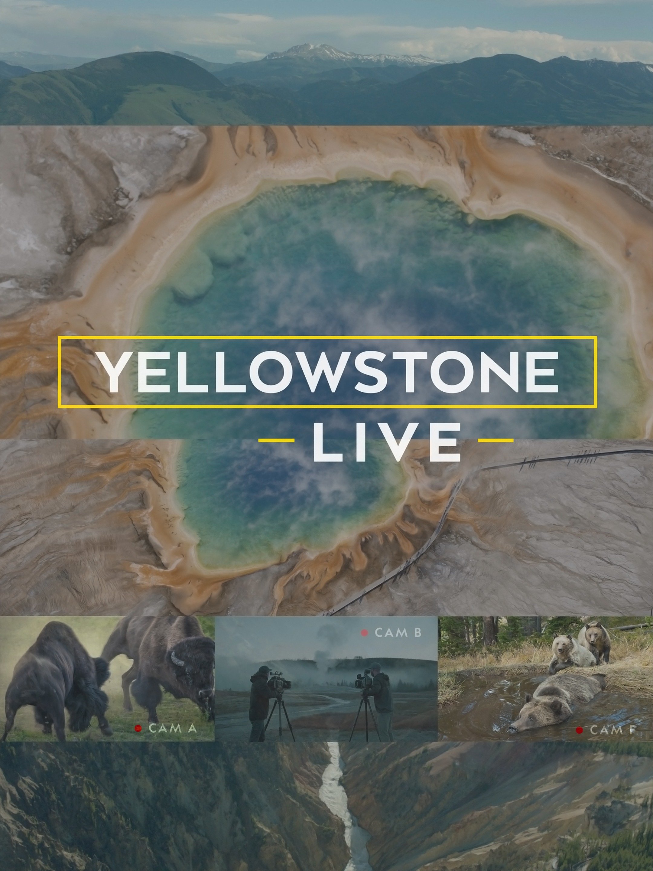 Yellowstone Live Rotten Tomatoes