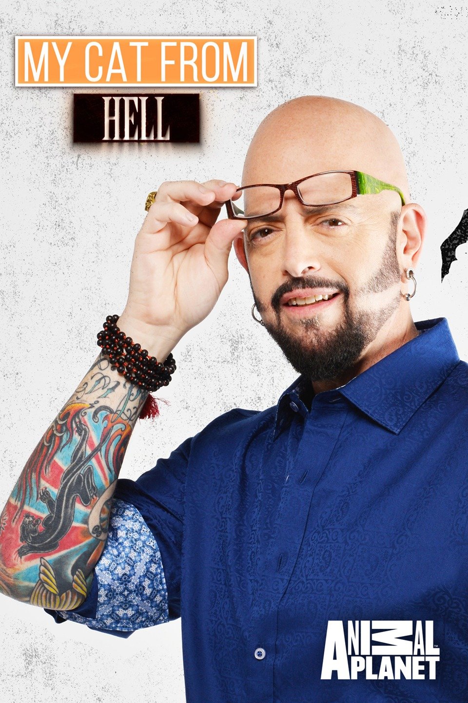 My Cat From Hell Rotten Tomatoes