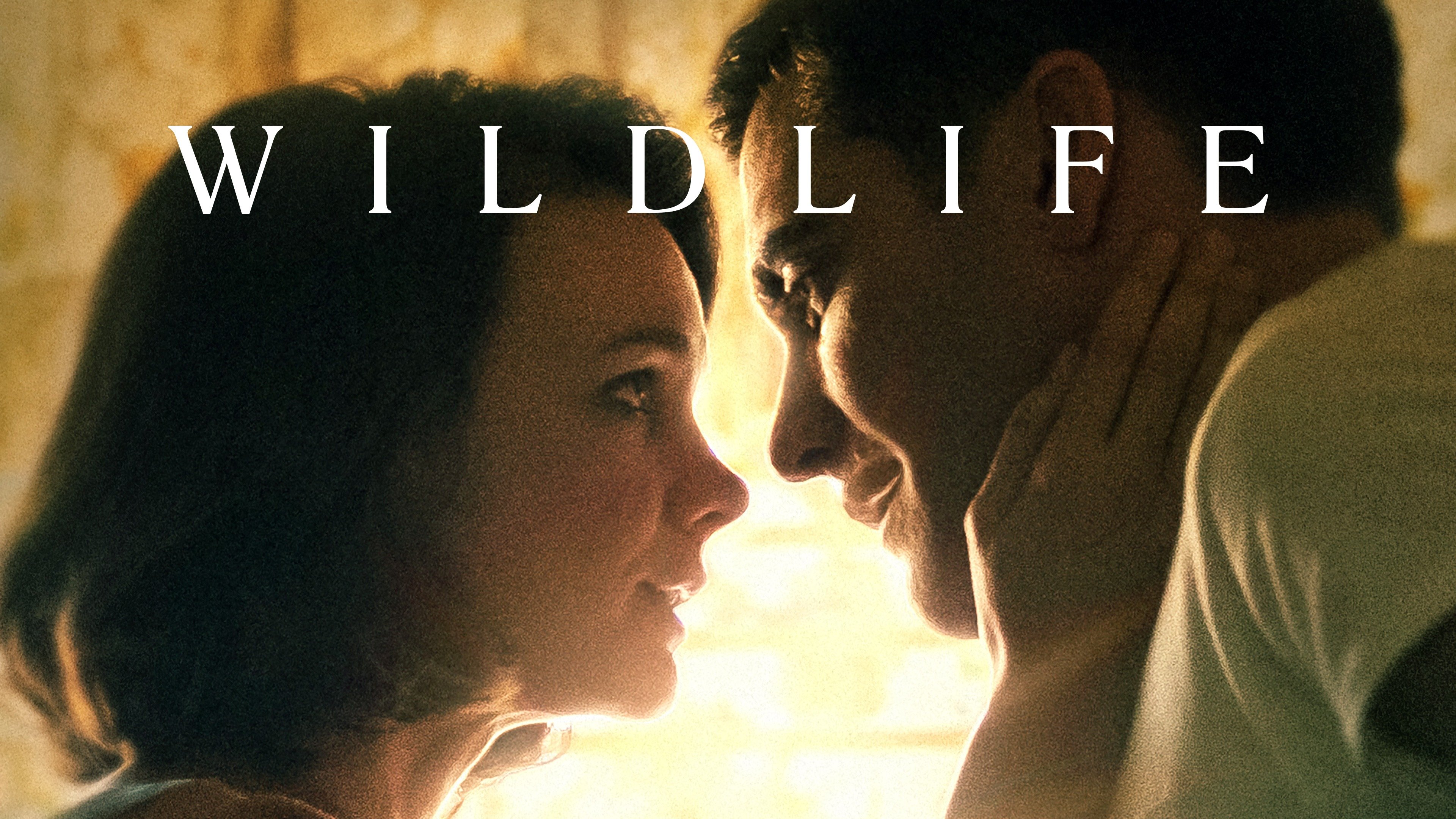 Wildlife Trailer 2 Trailers & Videos Rotten Tomatoes
