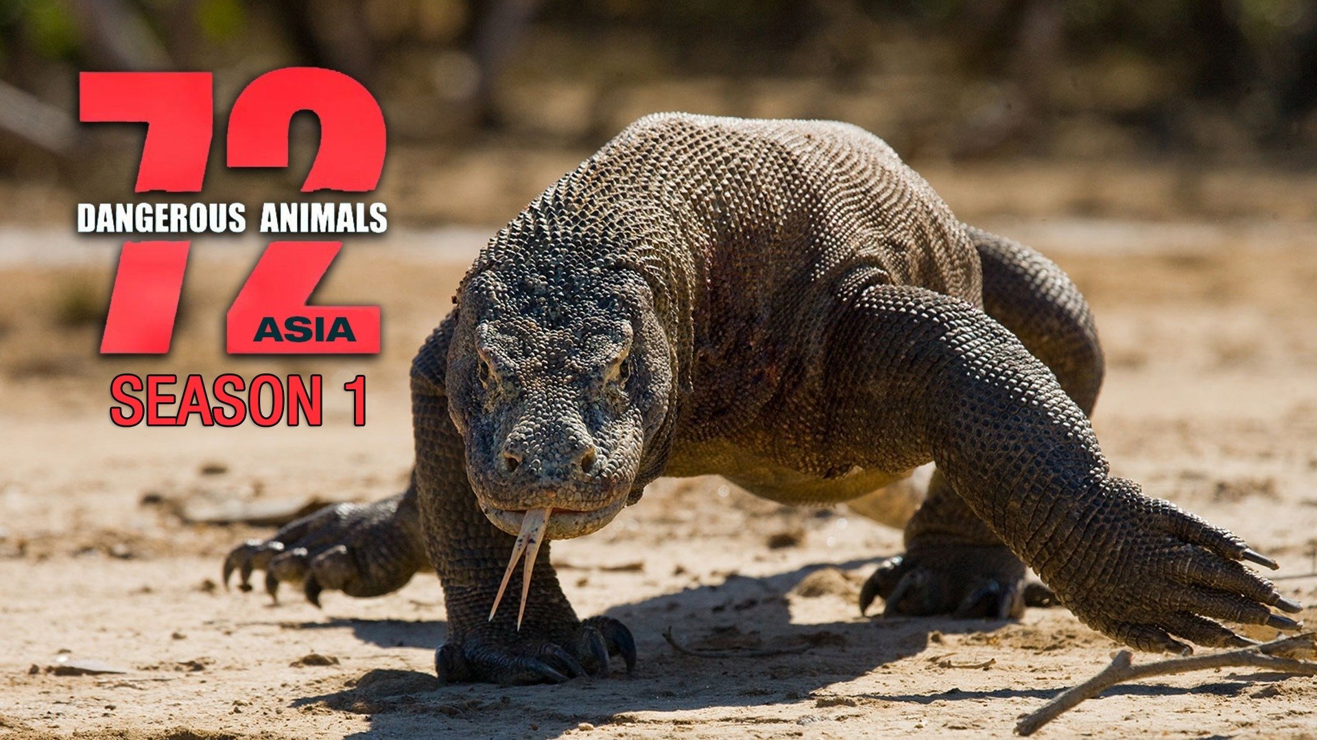72 Dangerous Animals: Asia - Rotten Tomatoes