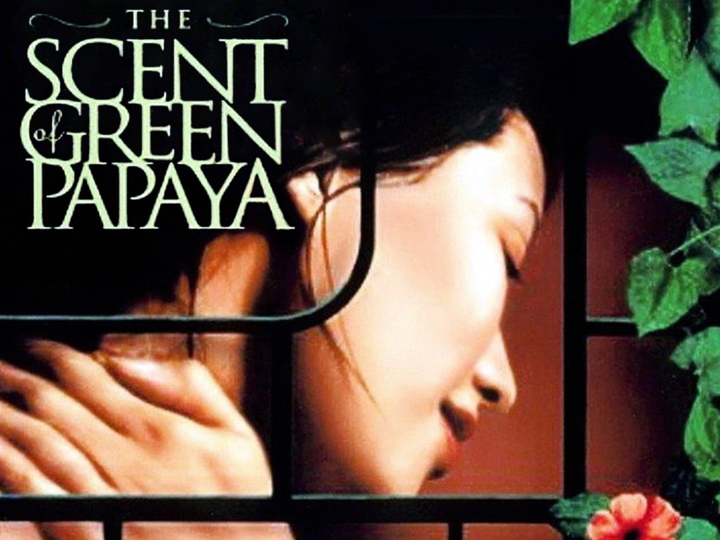 Scent Of Green Papaya Movie www.rottentomatoes.com