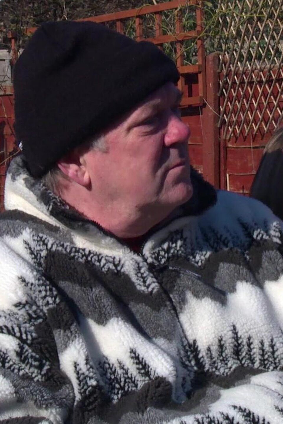 LeeonSolent Pictures Rotten Tomatoes