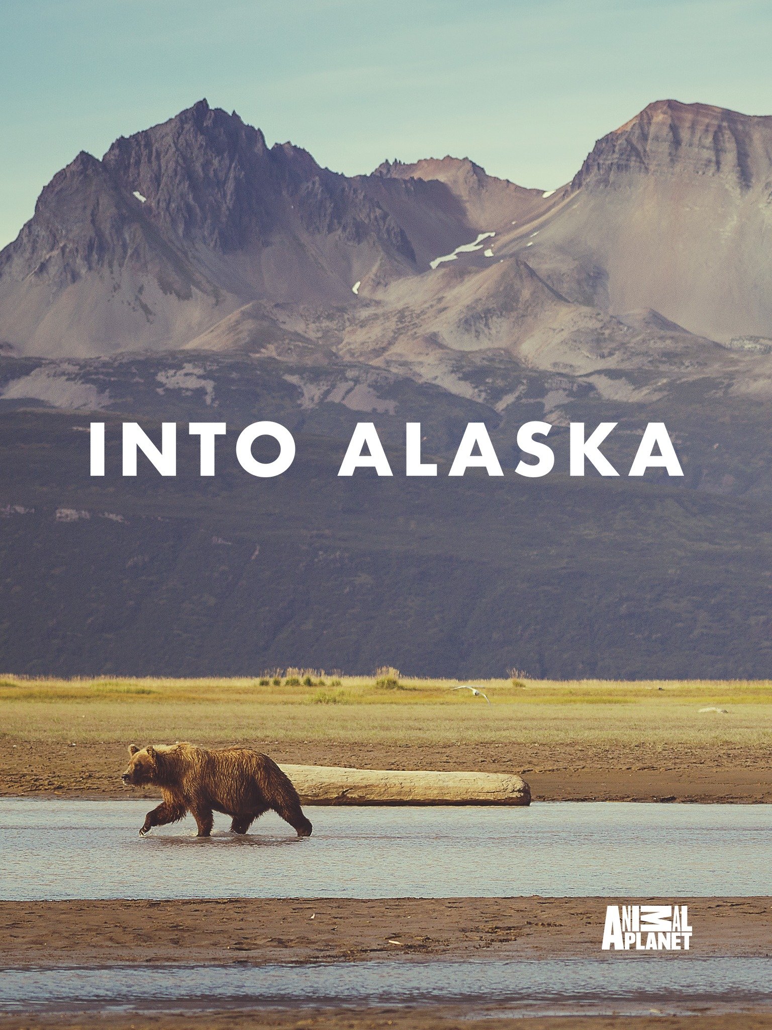 Into Alaska Rotten Tomatoes