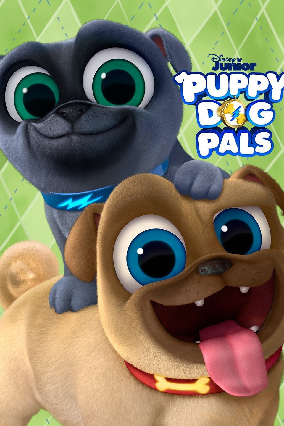 what kind of dog is kia in puppy dog pals