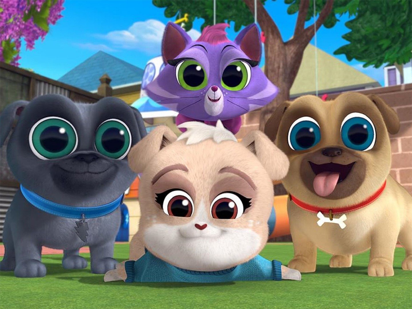 what kind of dogs are in puppy dog pals
