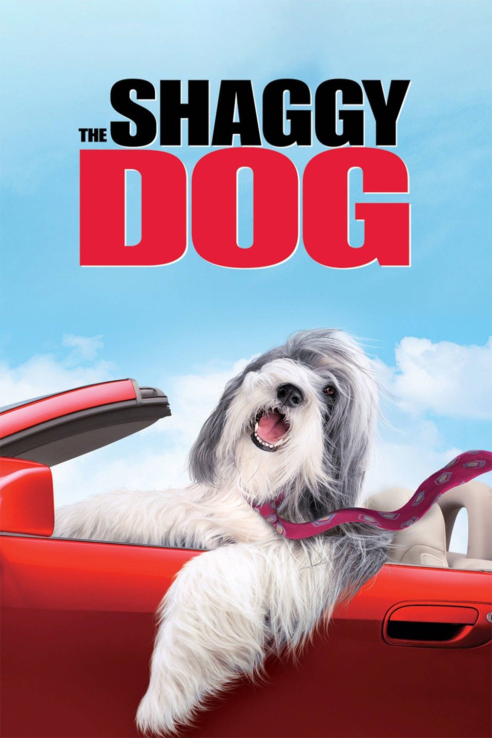 the-shaggy-dog-rotten-tomatoes