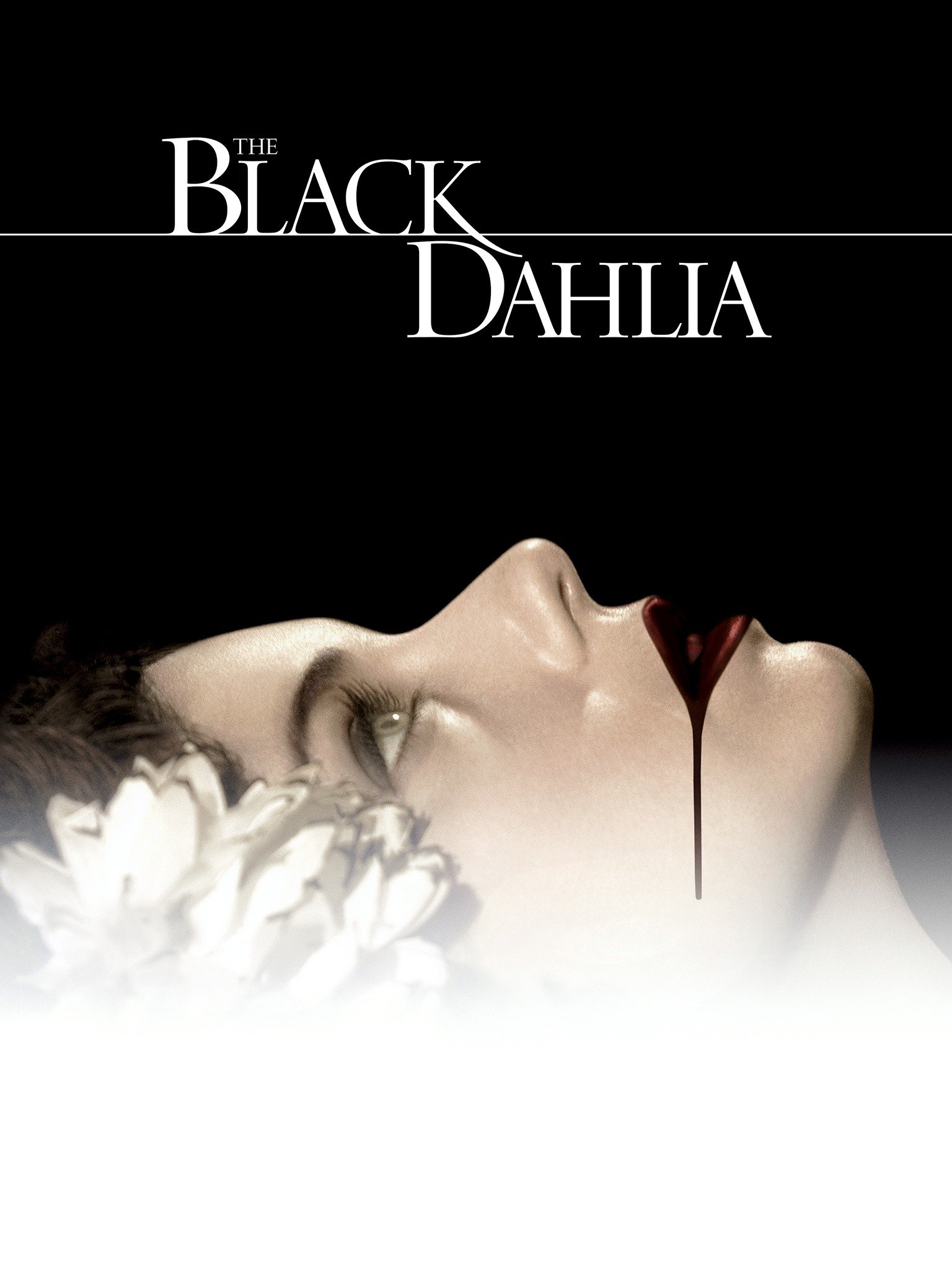 Black Dahlia Pics - q74yjp5