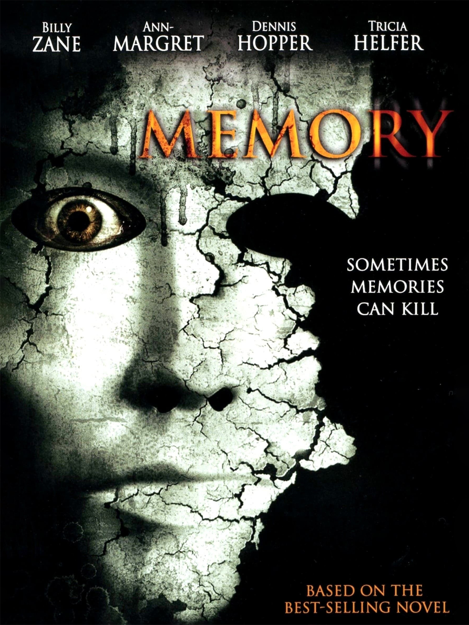 Memory Rotten Tomatoes