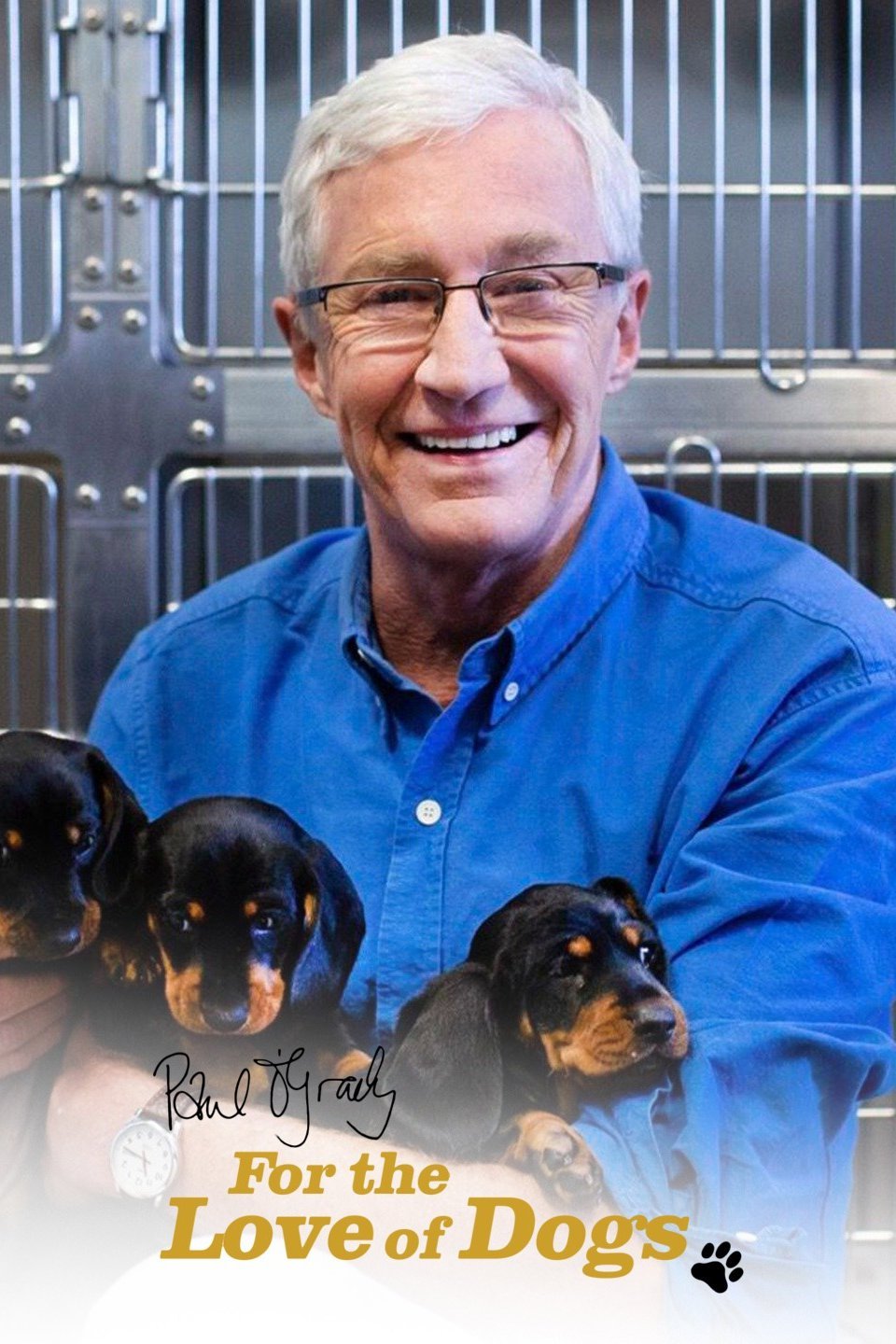 Paul O'Grady: For the Love of Dogs - Rotten Tomatoes