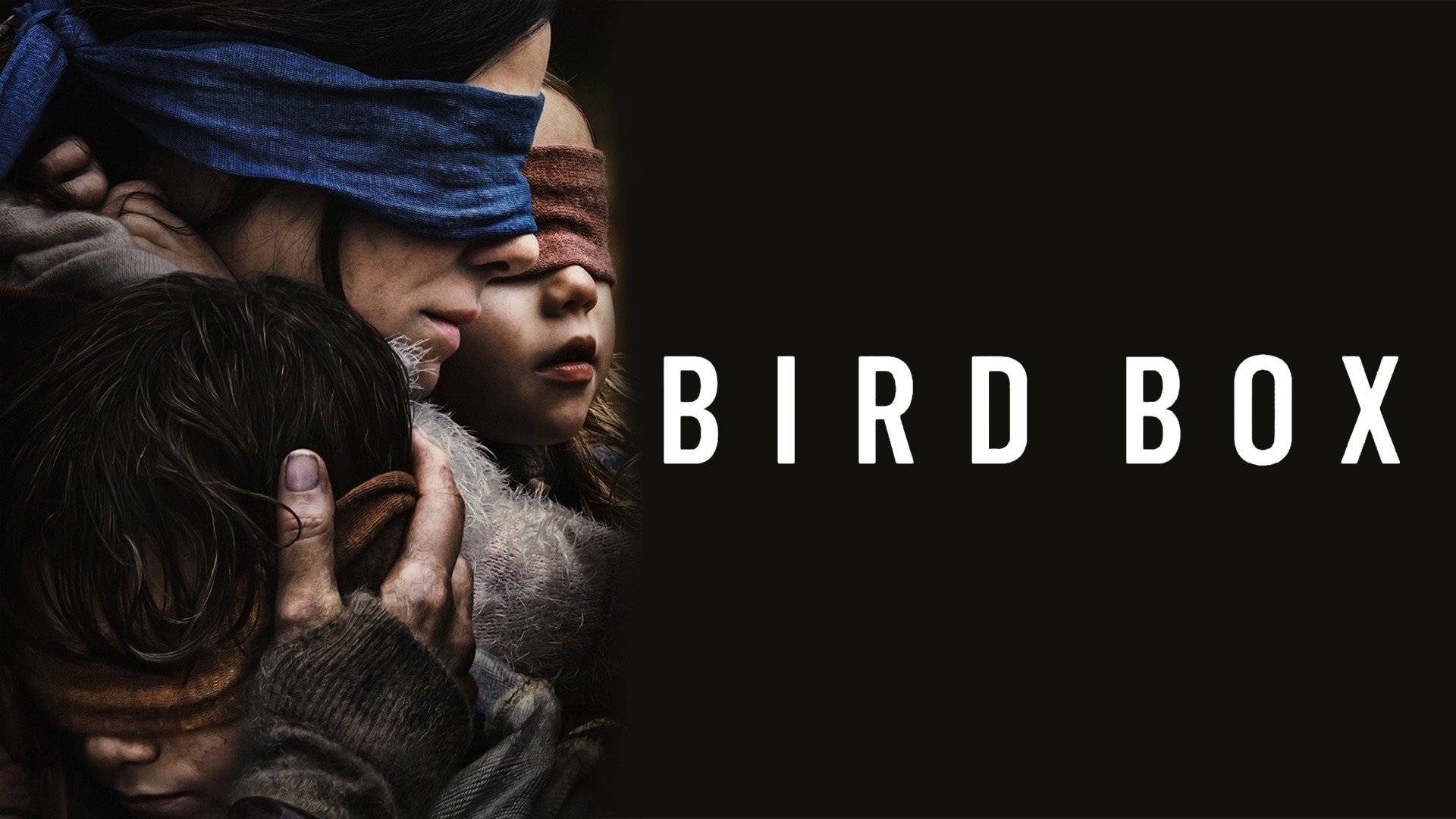 Птичий короб Bird Box, 2018