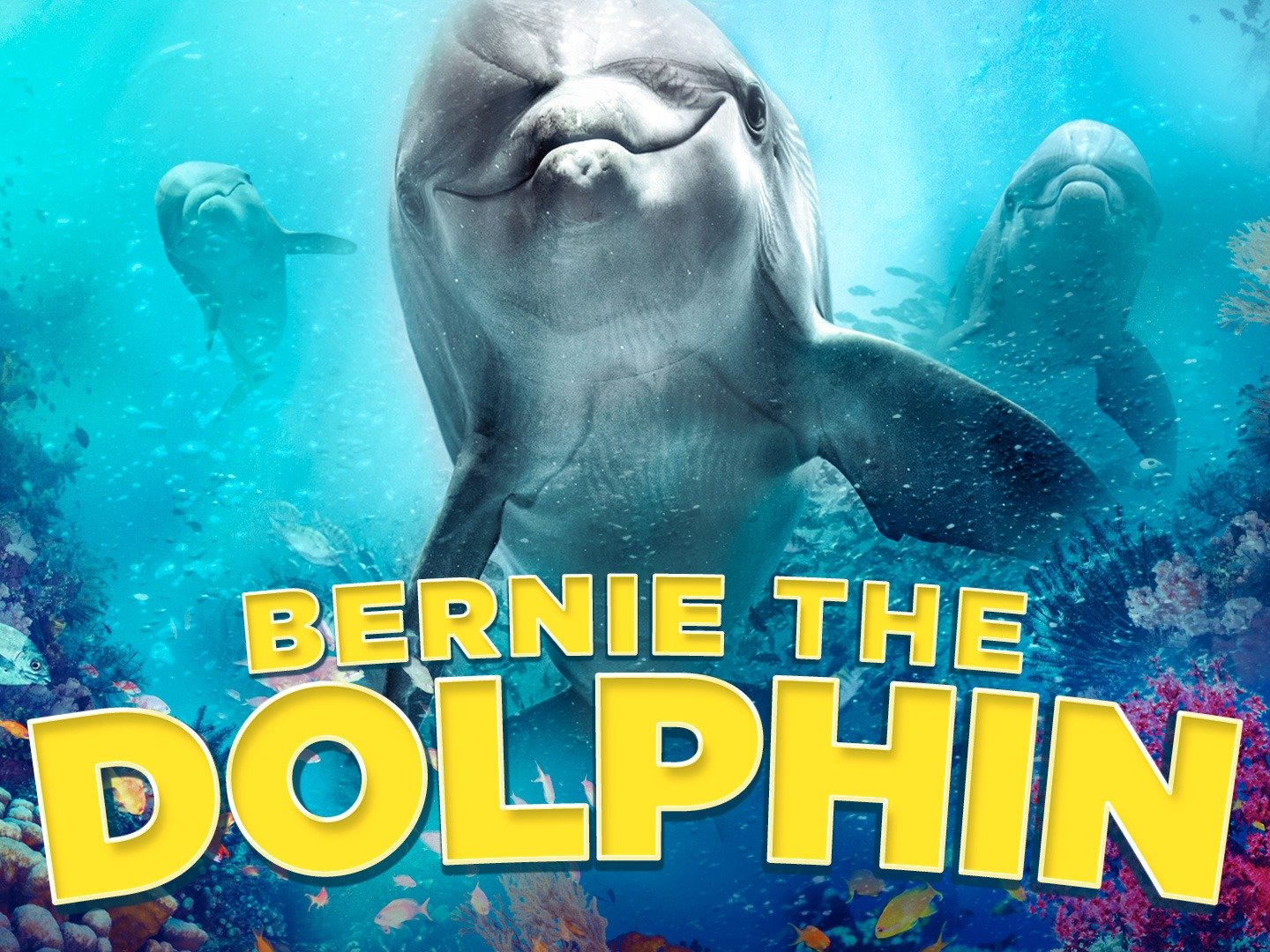 Bernie the Dolphin Trailer 1 Trailers & Videos Rotten Tomatoes